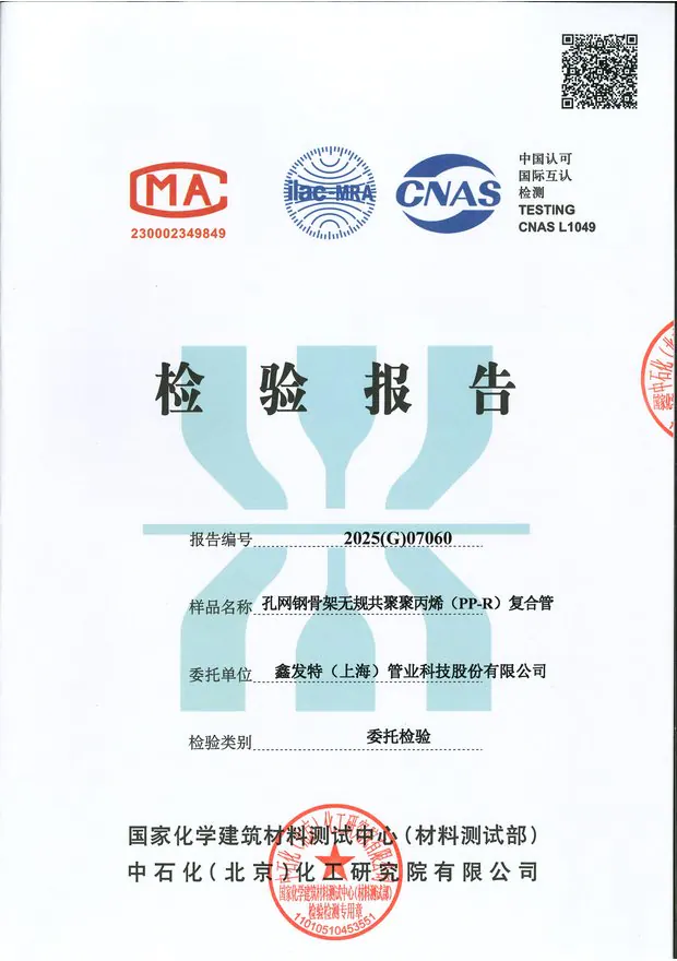 Q/XFT A01-2025 检测报告封面